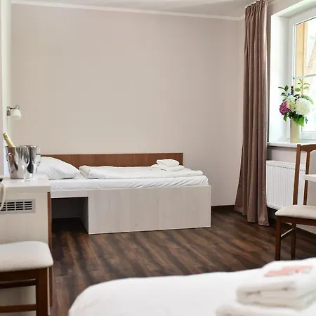Wellness Bozenov ホテル