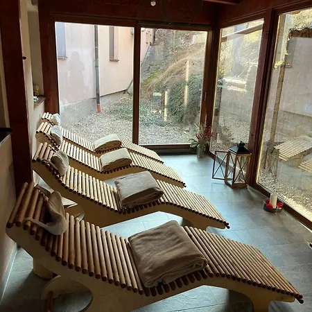 Wellness Bozenov ホテル 3*