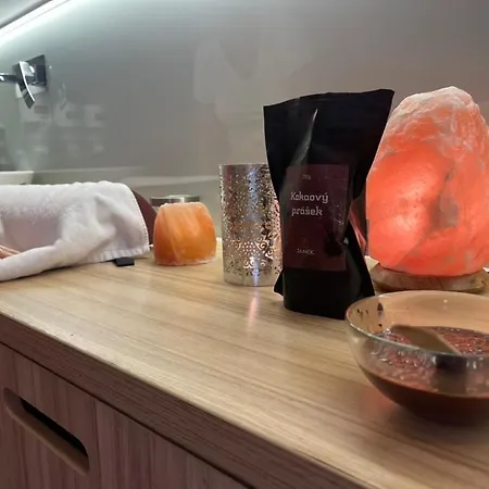 ホテル Wellness Bozenov