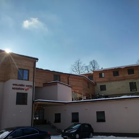 Wellness Bozeňov