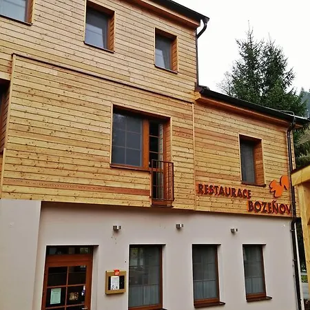 ホテル Wellness Bozenov Zábřeh