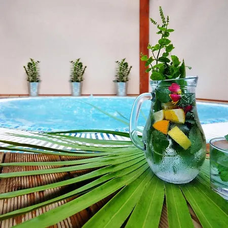 Wellness Bozeňov 3*