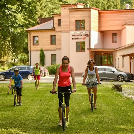 Wellness Bozeňov 3*