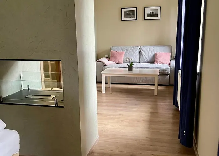 Отель Wellness Bozenov 3*