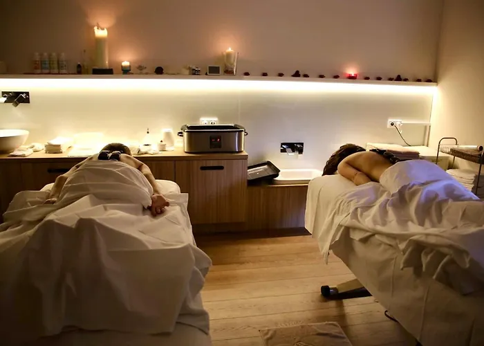 Отель Wellness Bozenov 3*