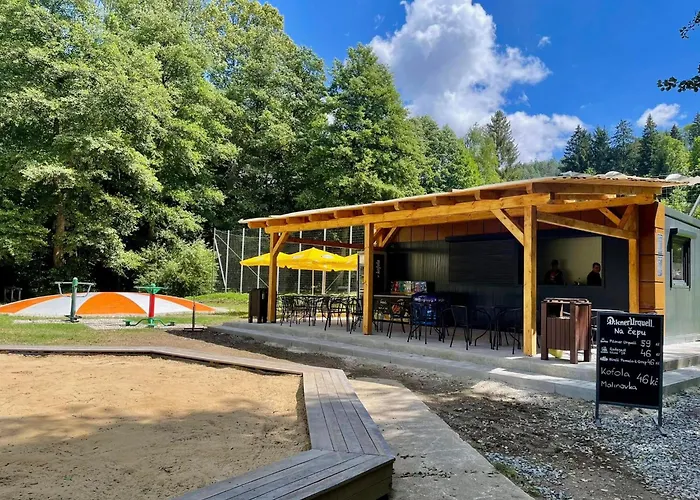 Отель Wellness Bozenov 3*