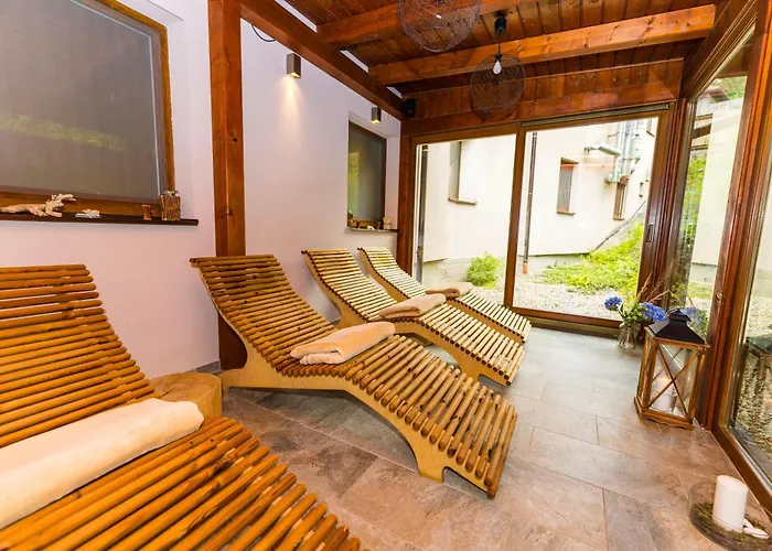 Отель Wellness Bozenov 3*
