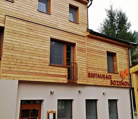 Отель Wellness Bozenov Забржег