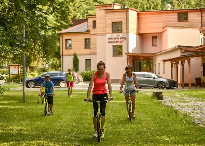 Wellness Bozenov 3*
